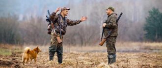 Что выбрать - двустволку или полуавтомат